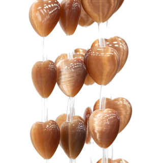 Cat's Eye Heart Plate 16mm Brown