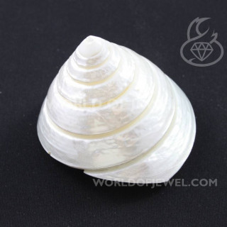 Adorno De Concha Nácar 5,5x6cm Blanco