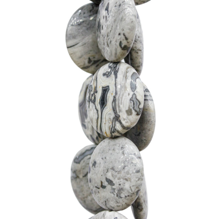 Agate Fossile Ronde Plate Lisse 25mm