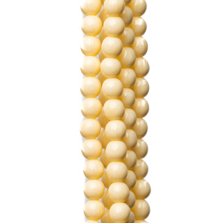 Glatter runder Knochen Kunstharz 06mm