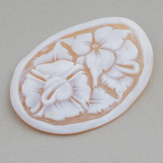 Χειροποίητο Cameo Made in Italy από Sardonyx Shell Flowers Oval 40x50mm 1pc Mod6