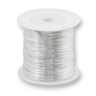Filo di Ottone Modellabile Protetto Contro Ossidatura Perfetto per Creazione di Gioielli e Bijoux Misura 0,6mm 250gr Argentato