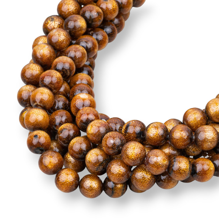 Madrepora Gold Στρογγυλό Λείο 08mm