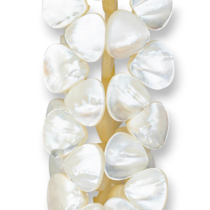 Cremeweißes Perlmutt Plektrum 14x15mm