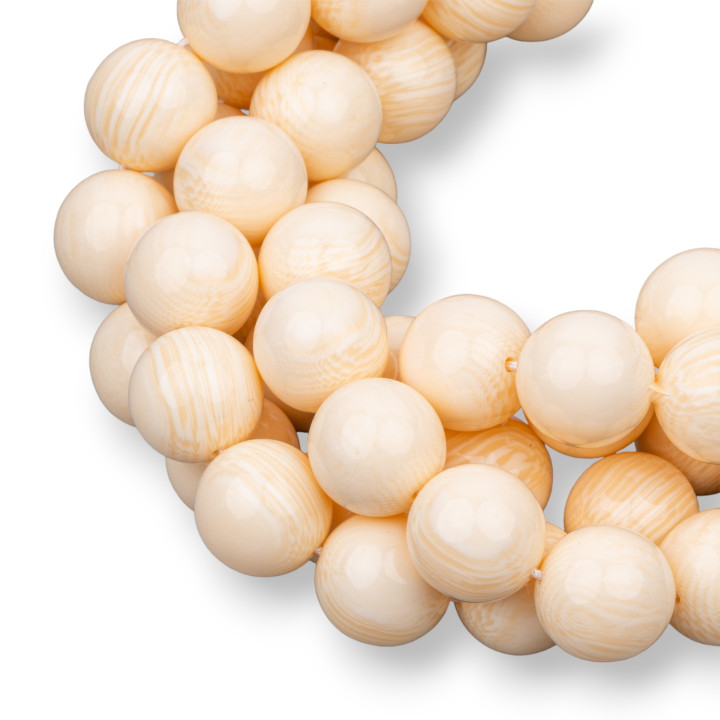 Resin Imitation of Smooth Round Bone 16mm