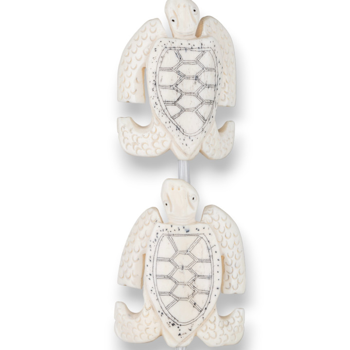 Os de tortue blanc 45x65mm 6pcs