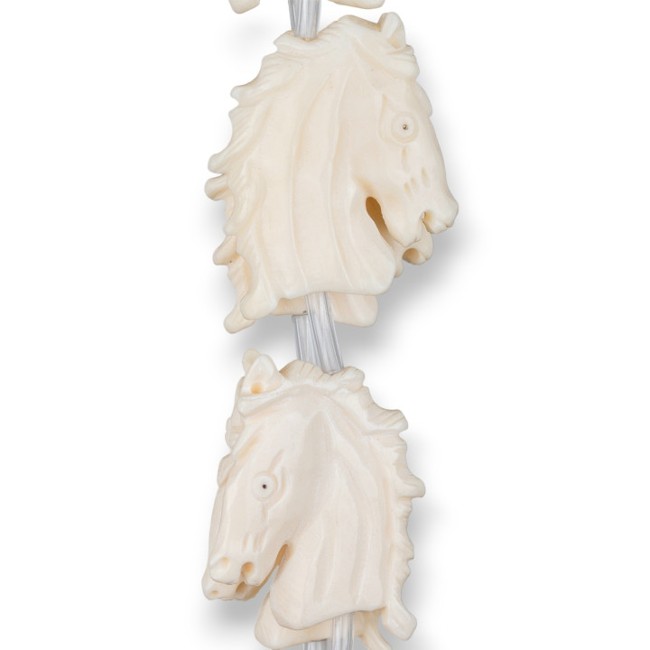 Οστό Κεφαλής Λευκού Αλόγου 28x35mm 9τεμ