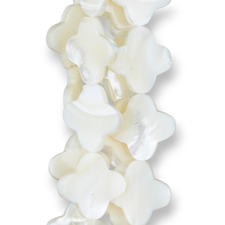 Nacre Blanche Trèfle Plat à Quatre Feuilles 20mm