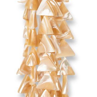 Triángulo de capuchino de nácar 14 mm