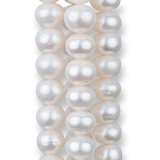 River Pearls Onions Rondelle Gradation 10,5mm+ Λευκό