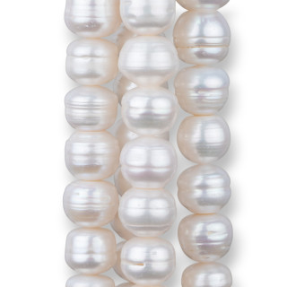 Perle Di Fiume Zwiebel Rondelle Abstufung A- 12,5mm + Weiß