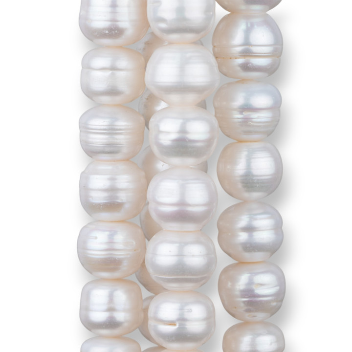 River Pearls Onions Rondelle Grade A- 12,5mm+ Λευκό