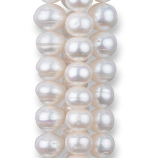 Perle Di Fiume Cebollas Rondelle Gradation Rigato 11,5mm + Blanco