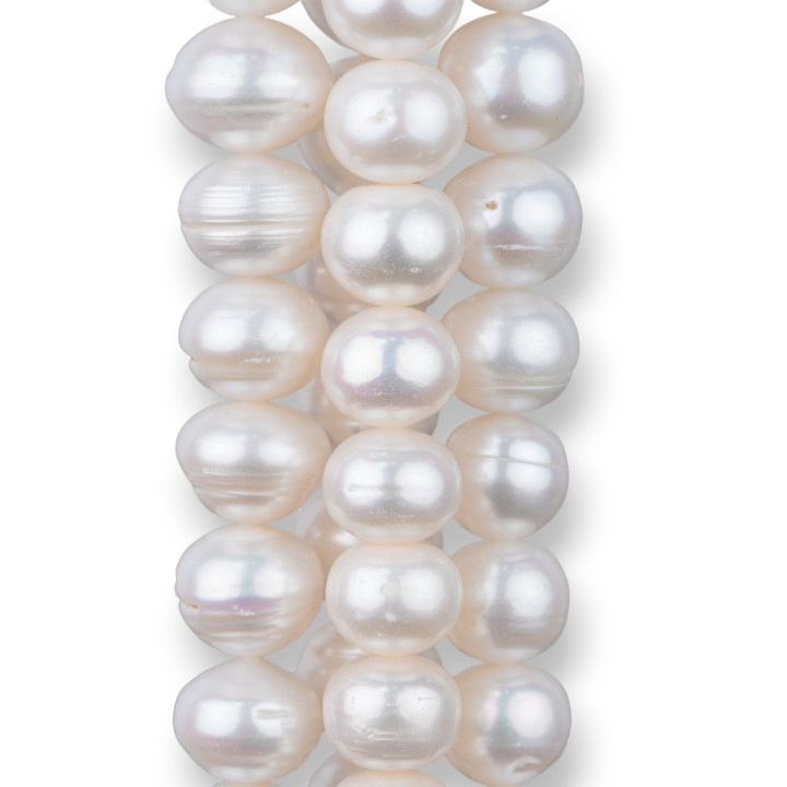 Perle Di Fiume Oignons Rondelle Gradation Rigato 11,5mm + Blanc