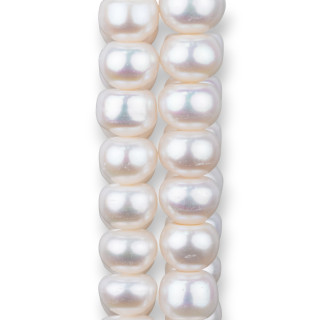 River Pearls Onions Rondelle 11,5mm+ AA+ Λευκό