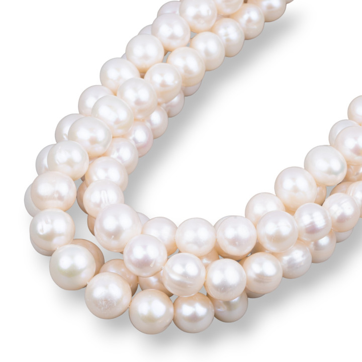 Round River Pearls Graded 11.0-14.0mm AA- White