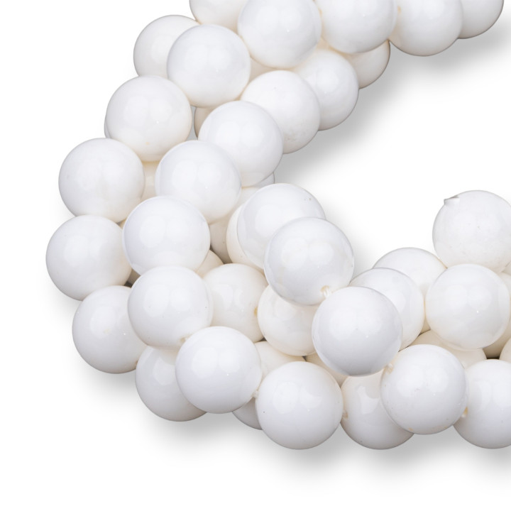 Concha Lisa Redonda Blanca 10mm