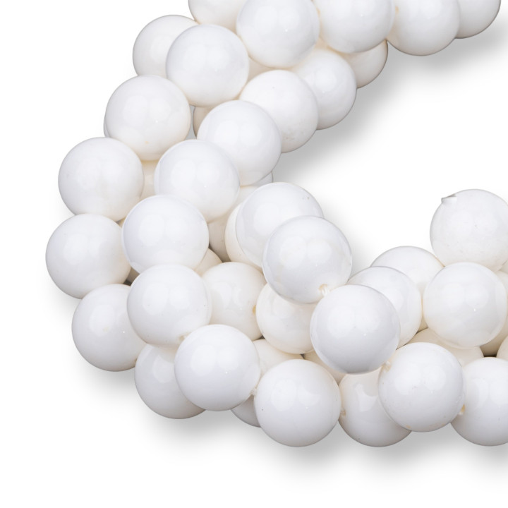 Concha Lisa Redonda Blanca 12mm