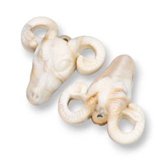 Surtido de Componentes de Resina Ariete 43x45mm 2pcs