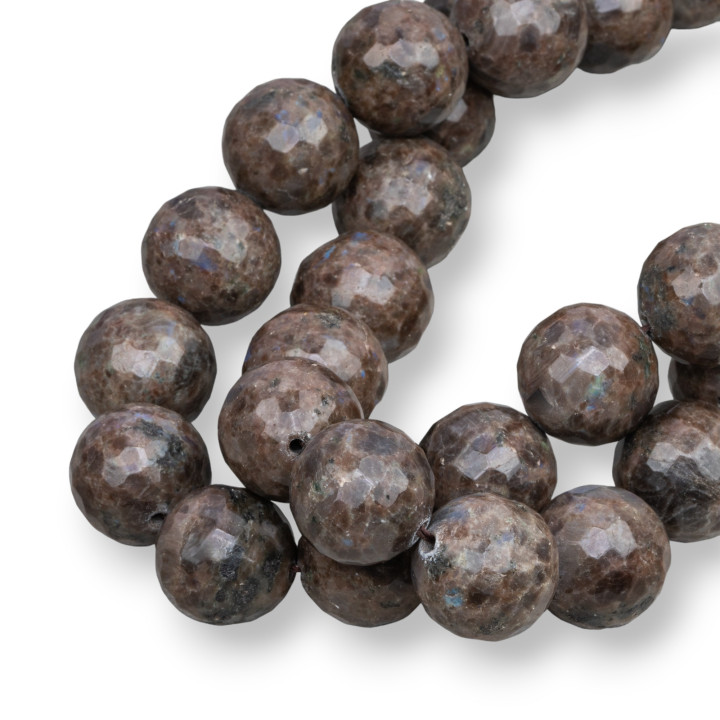 Labradorite Brune Facette 20mm