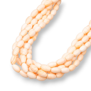 Coquillage Rose Naturel Corps Lisse 5x8mm