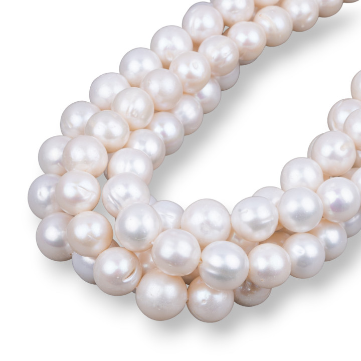 Perles d'eau douce rondes 12,0-14,0mm AAA Blanc