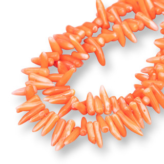 Κρουασάν Bamboo Coral 14-20mm