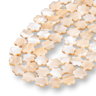 Flor Plana Capuchino Nácar 13mm