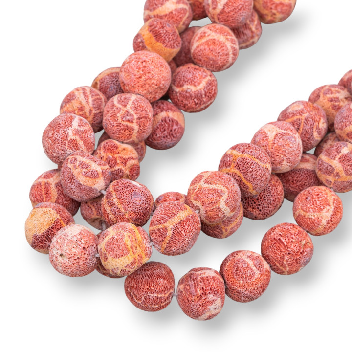 Rohe glatte runde Madrepora 14mm