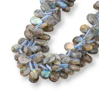 Gouttes de Labradorite Briolette Plate Facette 12x8mm