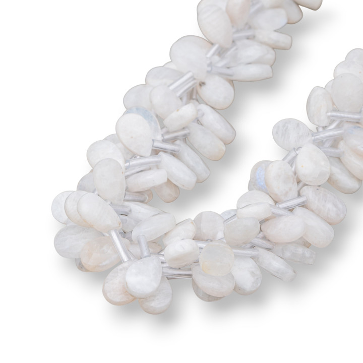 Pietra Di Luna Bianca Gocce Briolette Piatto Sfaccettato 12x8mm