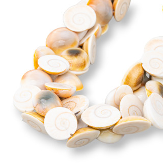 Natürliche Muschel 16–22 mm