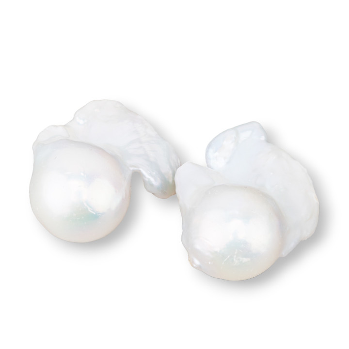 Perles de rivière baroques AAA (MQG) 16-17gr 1 paire blanche