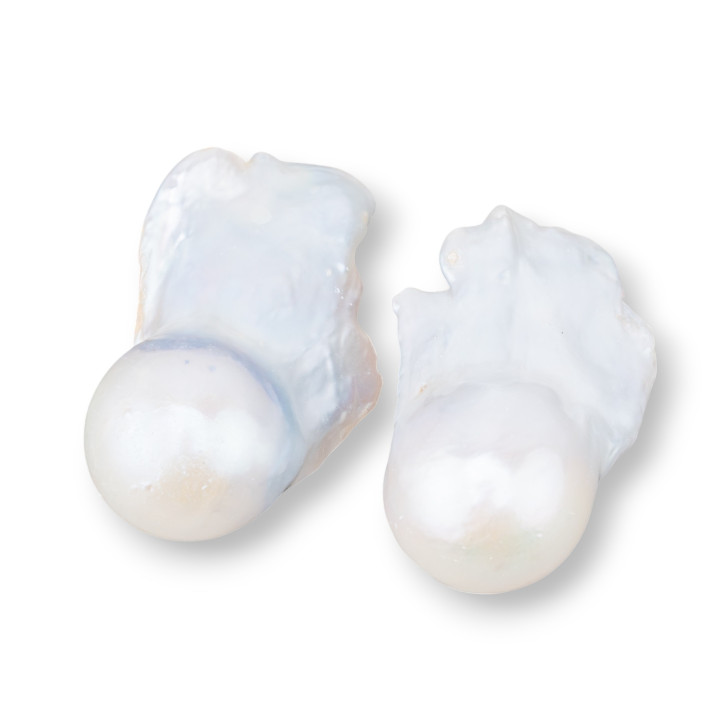 AAA Baroque River Pearls (MQG) 18-19gr 1 Pair White