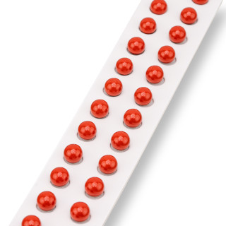 Perles Demi-Trou Pâte de Corail Rouge Sarde Lisse Rond 08mm 24pcs