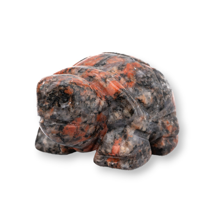 Adorno de estatua de piedras preciosas, tortuga de jaspe rojo oscuro de 1,5 pulgadas y 2,5 cm