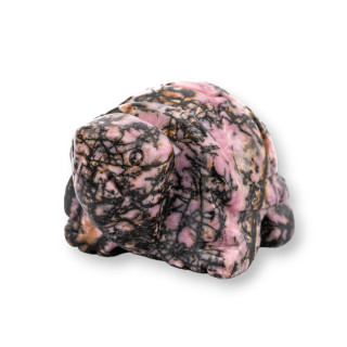 Ornement de statue de pierres précieuses 1,5 pouces 2,5 cm Tortue en rhodonite foncée