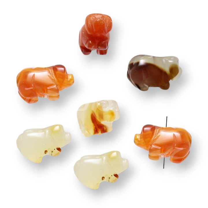 Multicolor Carnelian Dogs 20x13mm 12pcs