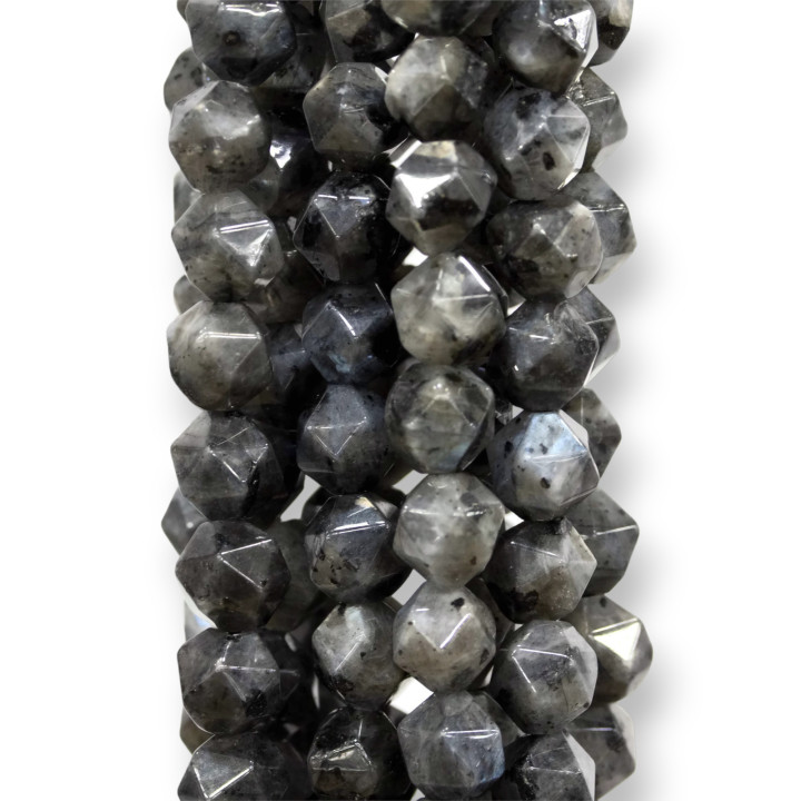 Εικοσάεδρο Μαύρο Λαβραδορίτη Λαριχίτη Faceted 8mm