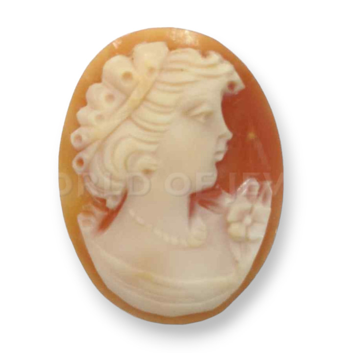 Cammeo Di Conchiglia Corniola Ovale 27x35mm 4pz Produzione Italiana