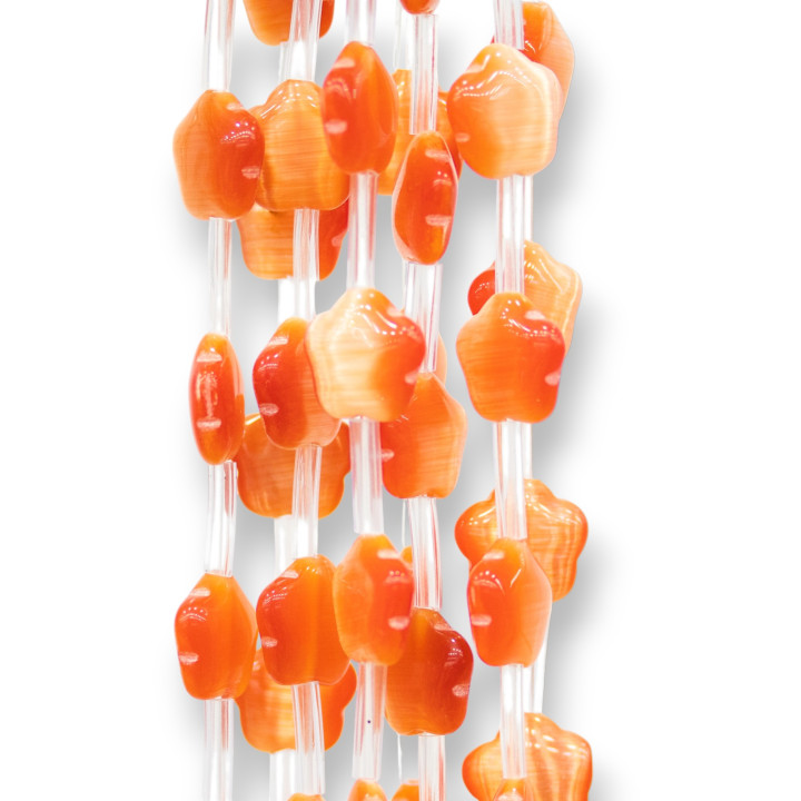 Flor Ojo De Gato 5 Pétalos Plana 12mm Naranja