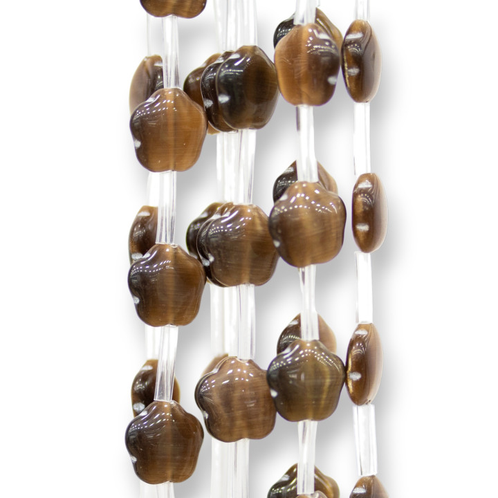 Oeil de Chat Fleur 5 Pétales Plat 12mm Marron