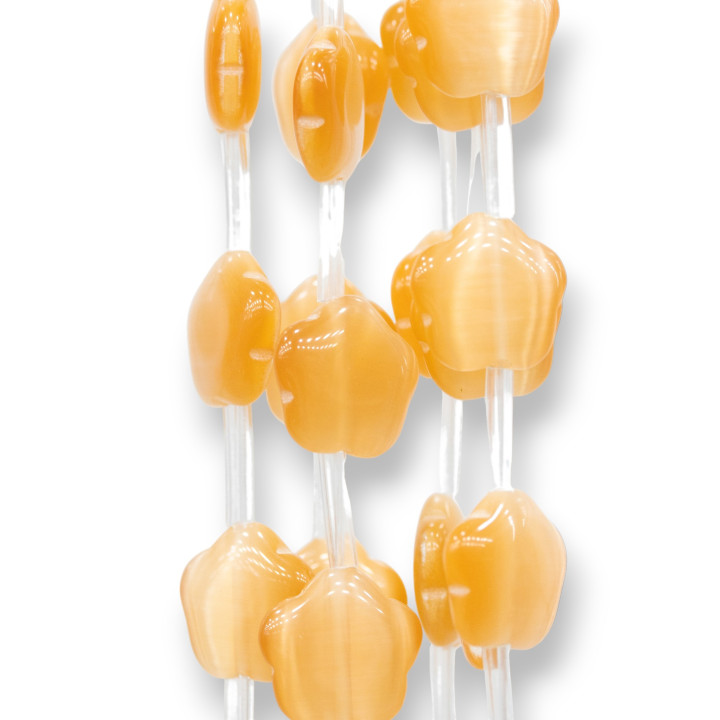 Occhio Di Gatto Fiore A 5 Petali Piatto 14mm Pesca