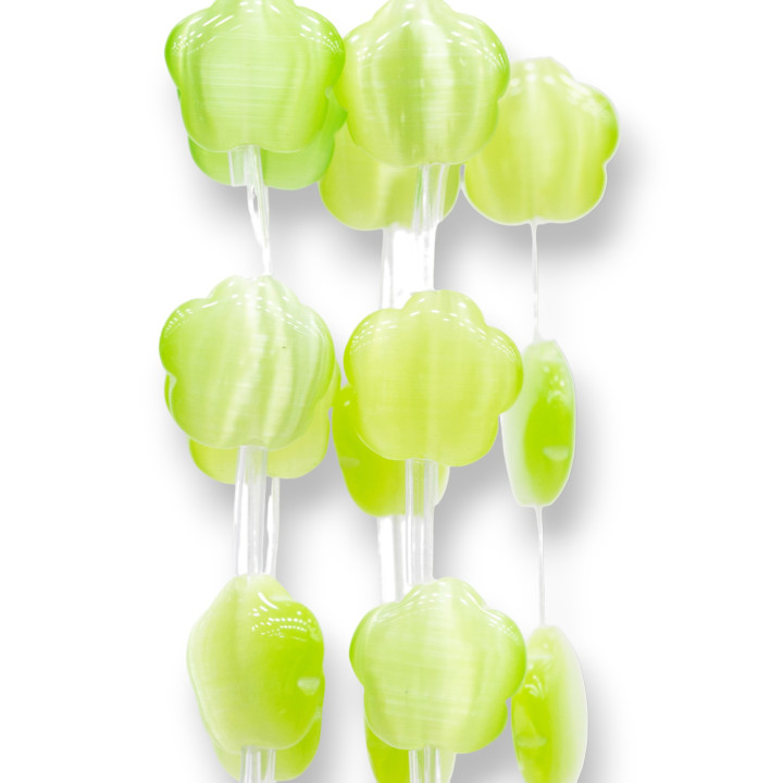 Flor Ojo De Gato 5 Pétalos Plana 14mm Verde Manzana