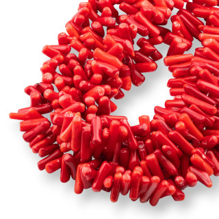 Chips de Coral Bambú Rojo Chips 14-20mm Rojo