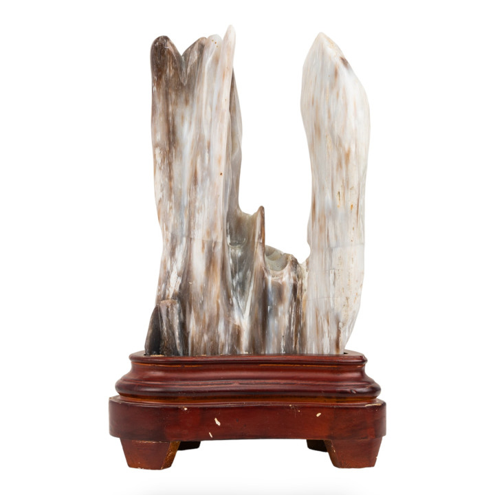 Statua - Legno Fossile Con Base In Legno Altezza 26cm Larghezza 13cm COD 81251