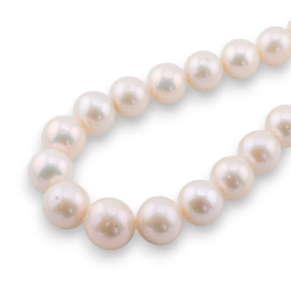 Premium Round River Pearls 12.0-15.0mm AAAAA White