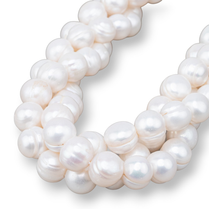 Perle Di Fiume Tonde 11,5-13,5mm Bianco