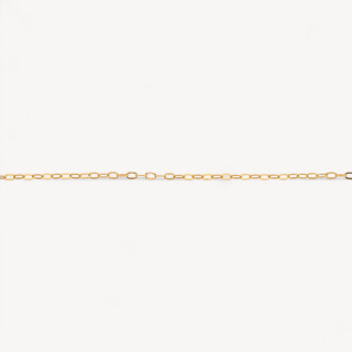 Catena A Metraggio Di Argento 925 Forzatina Schiacciata 1 Metro Dorato