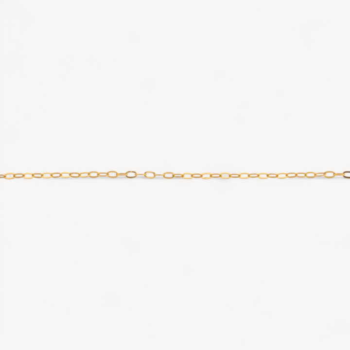 Catena A Metraggio Di Argento 925 Forzatina Schiacciata 1 Metro Dorato